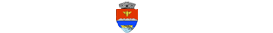 Info Luncavița Logo